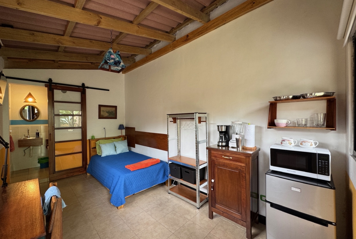 APARTAMENTO TIPO ESTUDIO AMUEBLADO EN ANTIGUA GUATEMALA