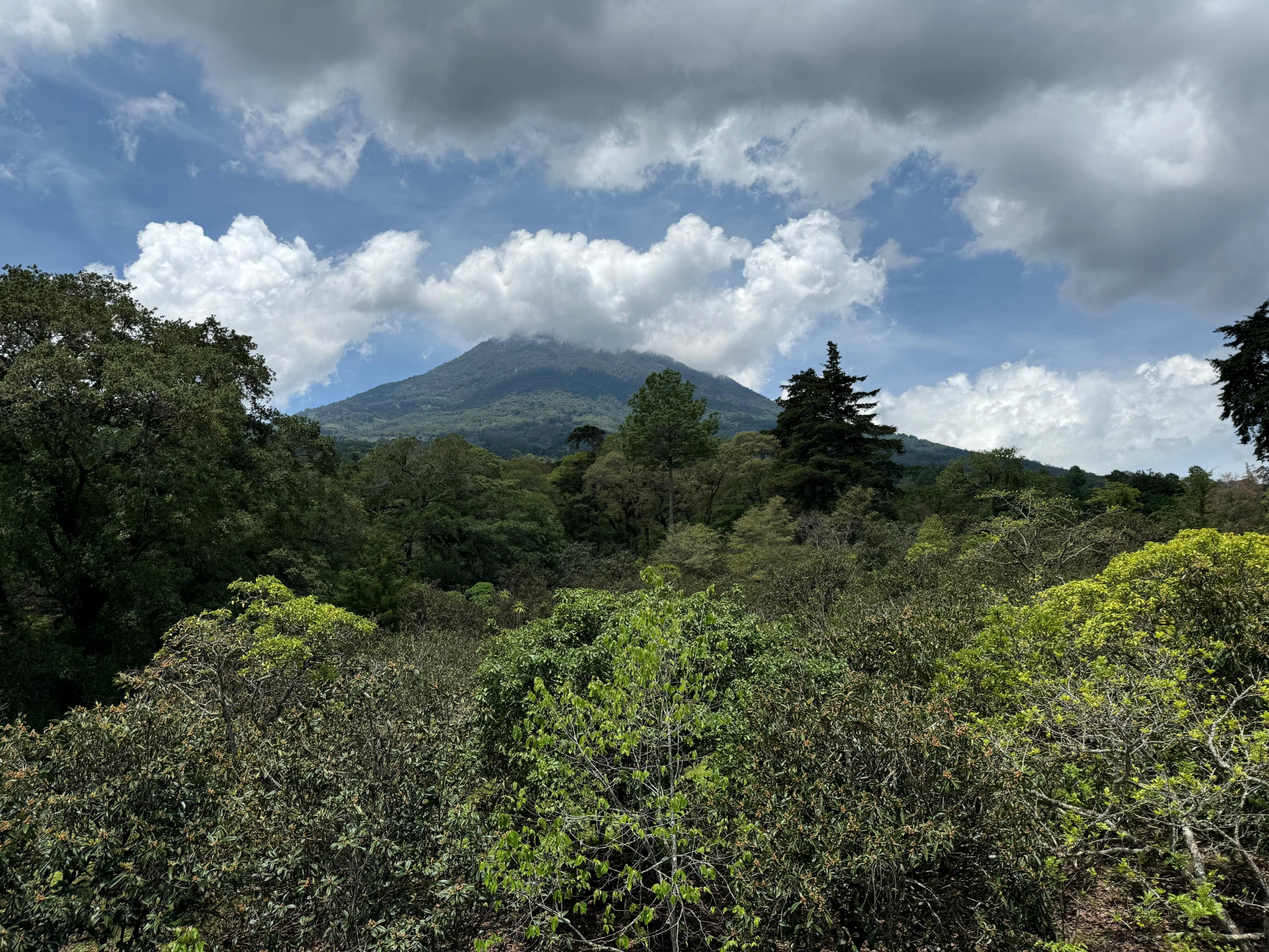 CASA EN VENTA EN ANTIGUA GUATEMALA